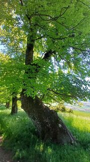 Foto von Andreas Höpner entlang der Tour