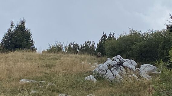 Foto von Ma Wa entlang der Tour