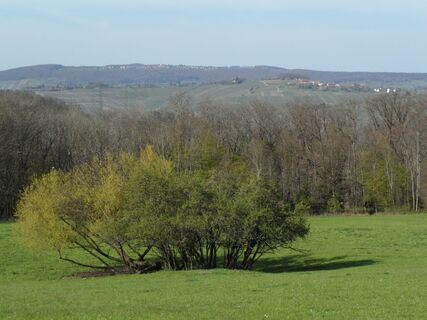 Ausblick Rundwanderweg 1