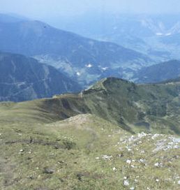 Blick auf den Gratrücken.