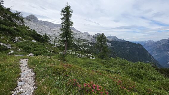 Foto von euterpe42 entlang der Tour