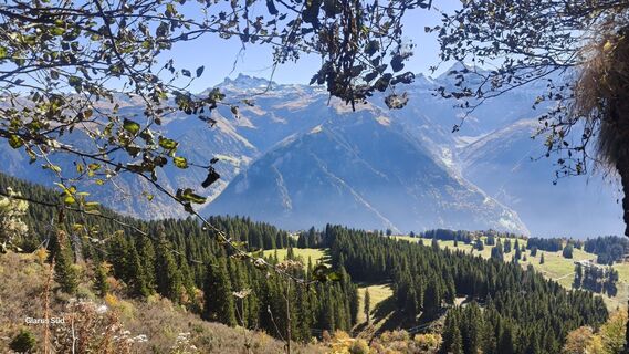 Foto von Markus Zweifel entlang der Tour