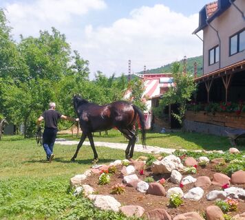 Nebesko Brdo, Paljane