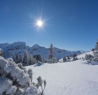 Winterlandschaft auf der Skitour Grabs - Gamserrugg
