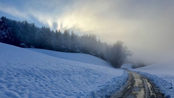 Zdjęcie z peter_oe wzdłuż trasy