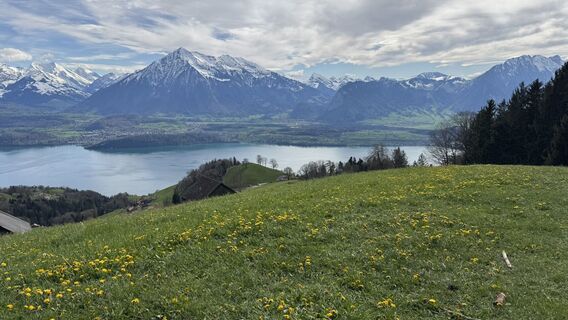 Foto da peter_oe lungo il tour