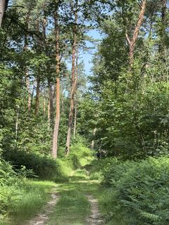 Foto von Uwe Urban entlang der Tour