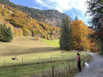 Foto de Sigurd Leyck a lo largo del recorrido