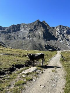 Schnals - Senales, Trentino-Alto Adige/Südtirol/Italia