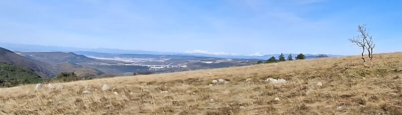 Photo de Bob Moh le long du parcours