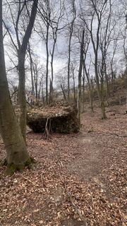 Fotografia z Frederic na trase