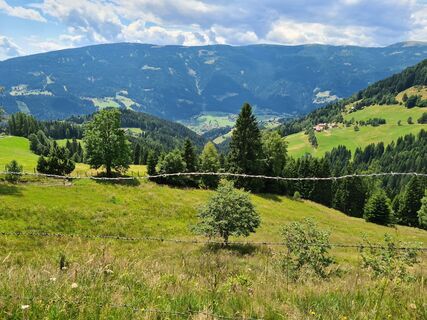 Foto von Moro entlang der Tour