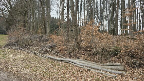 Photo de Moonhillwolf le long du parcours