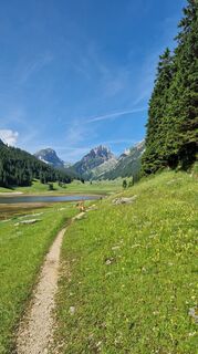 Foto fra Marc Schmidig undervejs på turen