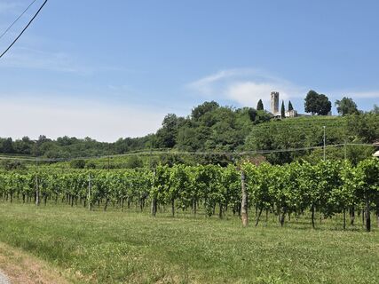 Foto von Walter Dienstl entlang der Tour