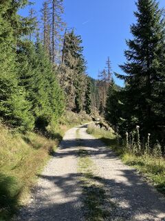 Foto van andrea calabria langs de tour