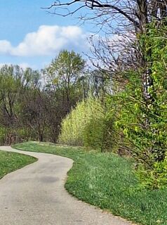 Foto de Mimi a lo largo del recorrido