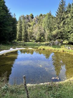 Foto von Angelo Austoni entlang der Tour