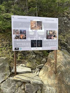 Fotografia z Thomas Trautwein na trase