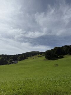 Fotografia z Passport1405 na trase