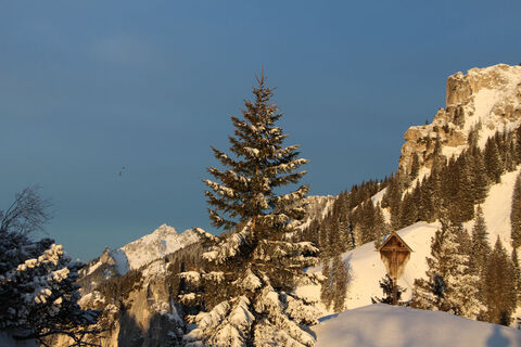 Skitour Pürschlinghaus