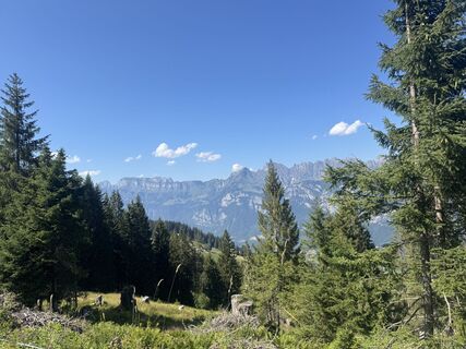 Fotografija s spletne strani Lili10 na poti