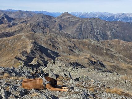 Photo de Schneekar le long du parcours