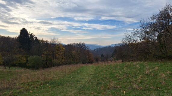 Foto von Regina Fleischmann entlang der Tour