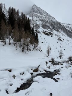 Foto fra Svensonalpin undervejs på turen