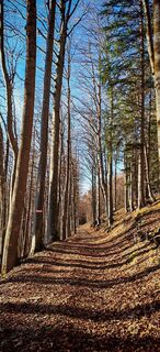 Fotografija s spletne strani ReginaSt na poti