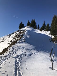Fotografia z Martin Hentschel na trase