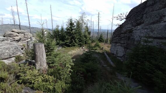 Photo de rumimi le long du parcours
