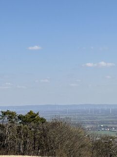 Foto de RS76 a lo largo del recorrido