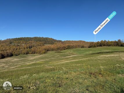 Foto von “Jerry” Brunetti entlang der Tour