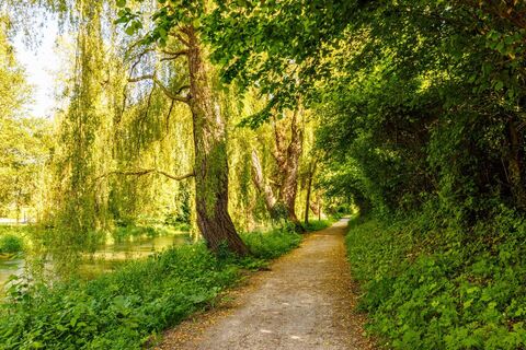 Aachufer in Singen am Hohentwiel