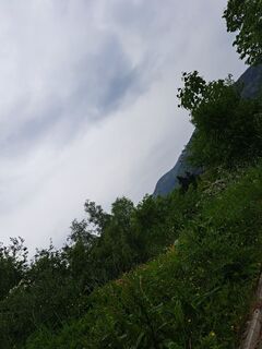 Fotografia z Sabine Krohn na trase