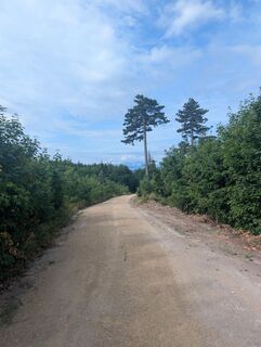 Fotografija s spletne strani HOJ_09 na poti