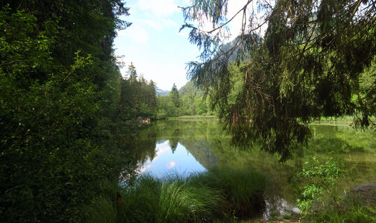 T%aubensee