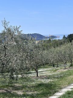 Fotografie z jml na trase