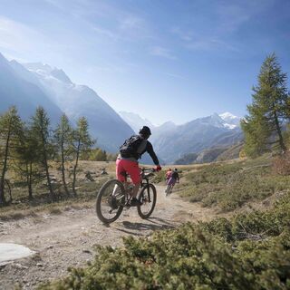 Abstieg mit dem Grächen Family Bike