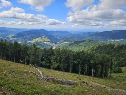 Fotografia z Andreas Schneider 7 na trase