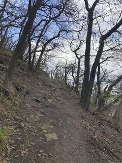 Foto de BieneM a lo largo del recorrido