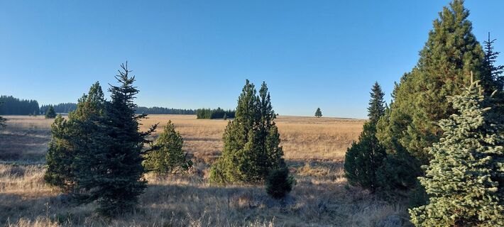 Fotografija s spletne strani canonfreund91 na poti