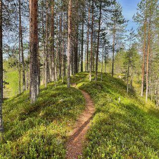 Susitaipaleen Harzlandschaft