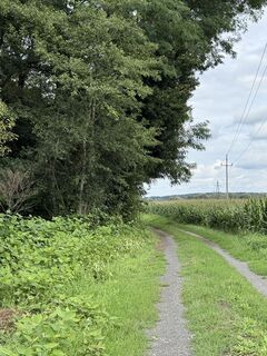 Fotó a Marcus Ernst Gordisch honlapról a túra során