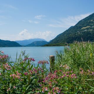 Ossiacher See