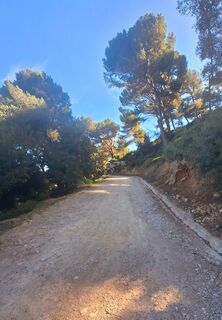 Foto de Regina Fleischmann a lo largo del recorrido