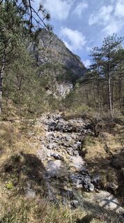 Fotografija s spletne strani Fabrizio Plesnizer na poti