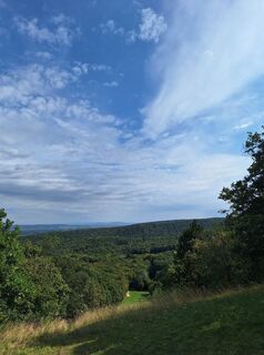Fotografija s spletne strani Marion Masilko na poti
