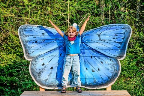 ASAGAN Schmetterling